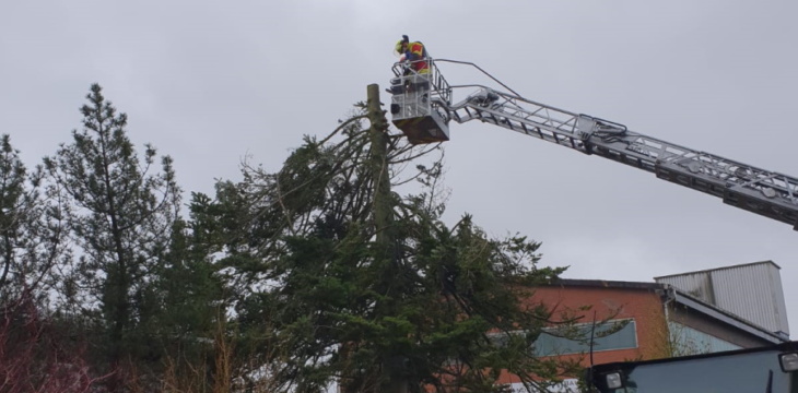 THDRZF – Baum droht auf Haus zu fallen