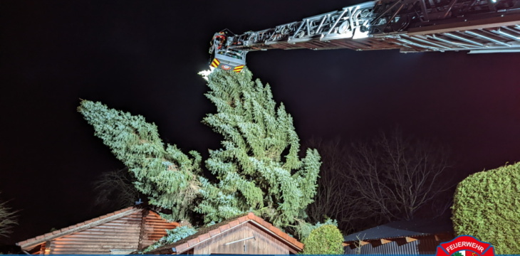 THDRZF – Zwei Bäume auf Carport