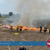 Vegetationsbrandbekämpfung